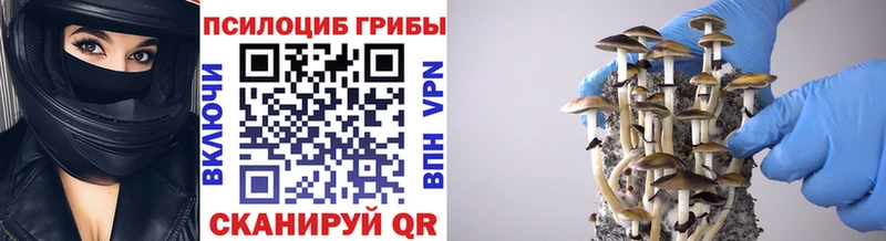 Псилоцибиновые грибы ЛСД Каргат